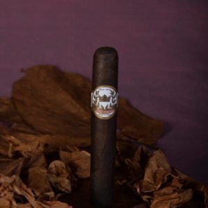 Robusto Maduro 50x5