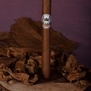 Churchill Habano 50x7"