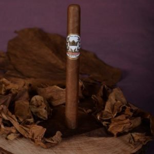 Coronita Habano 42x6.5"