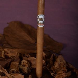 Lancero Connecticut 38x7.5"