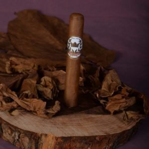 Robusto Habano 50x5"